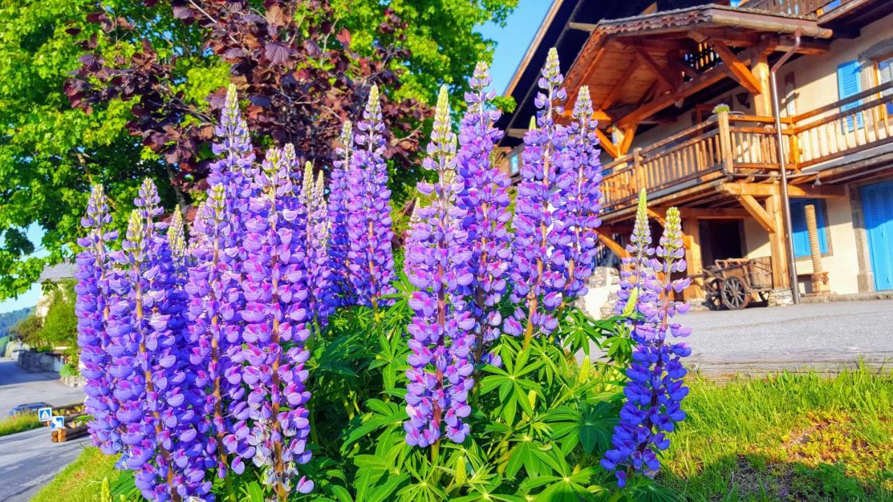 Chalet La Source Saint-Nicolas-la-Chapelle (Savoie) Exterior photo